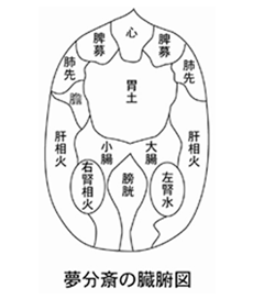 夢分斎の臓腑図